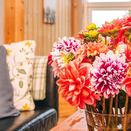 5 Person In Henne Nyaraló Henne Strand